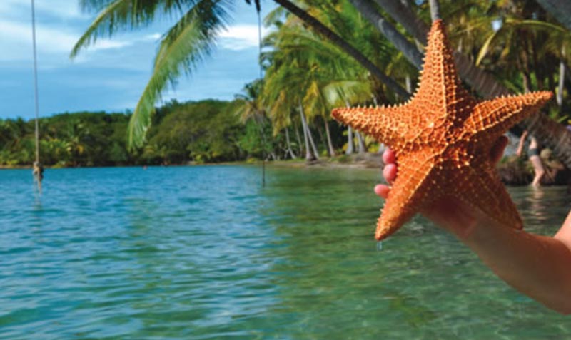 Panamatourdeals Tourcovers Starfishisland