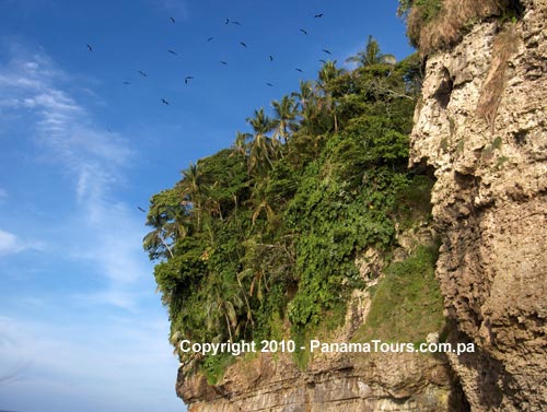 Bird Island Tour Bocas